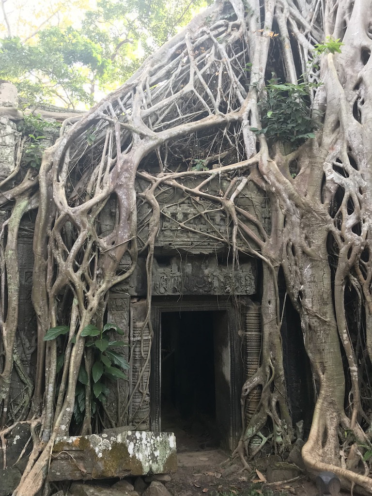 Siem Reap Cambodia travel guide