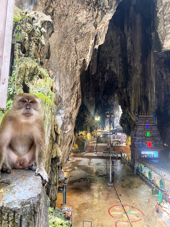 Monkey in Batu Caves 