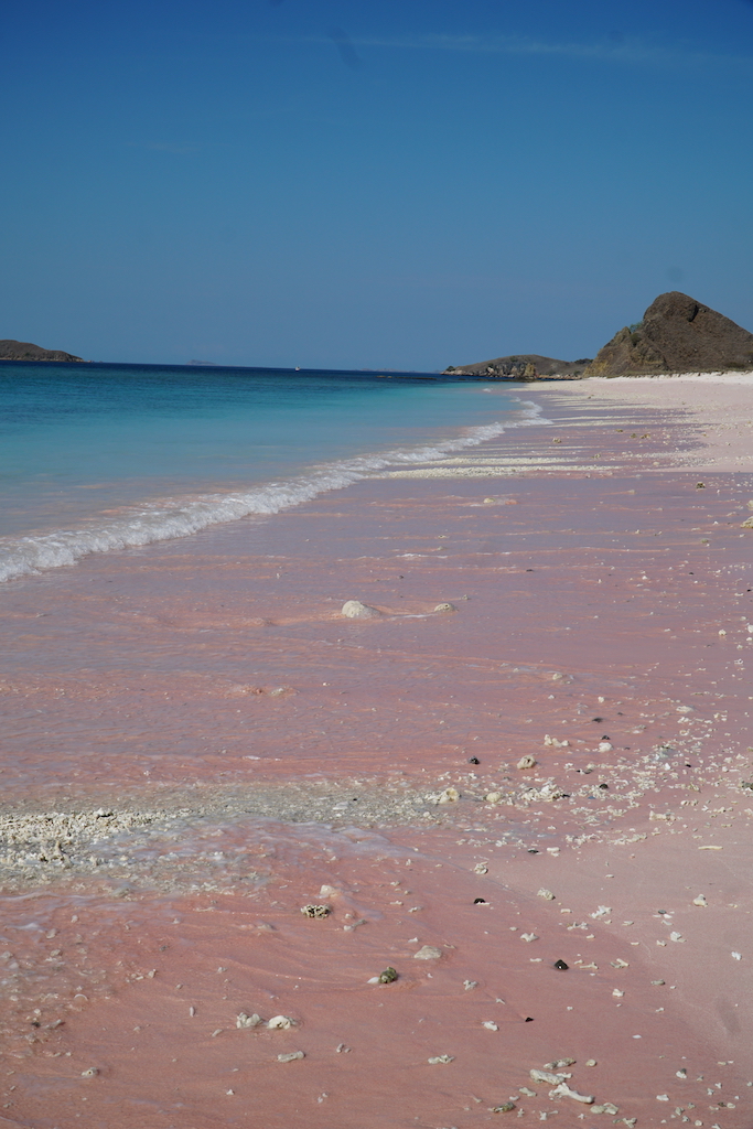 Visit the unique pink beach on your Komodo trip