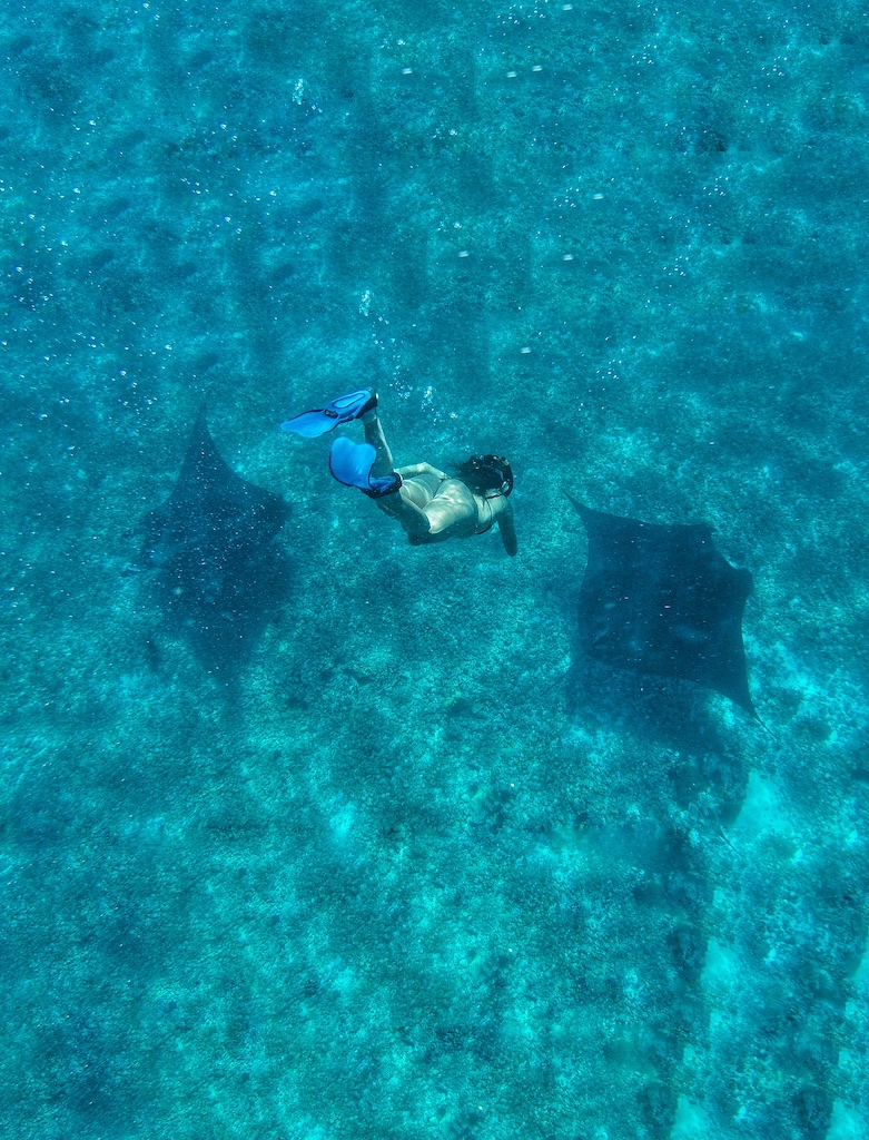 Snorkeling in Manta Point 