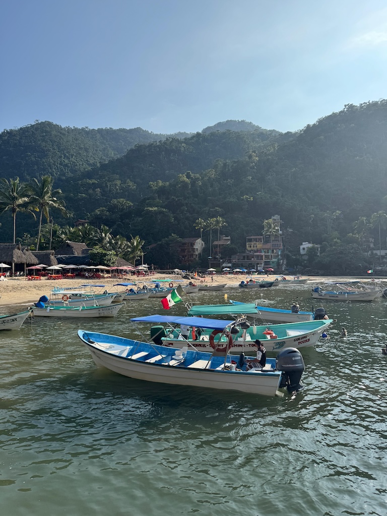 Best day trips from Puerto Vallarta