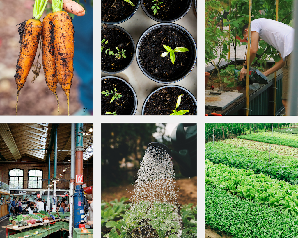 Urban Farms in San Francisco