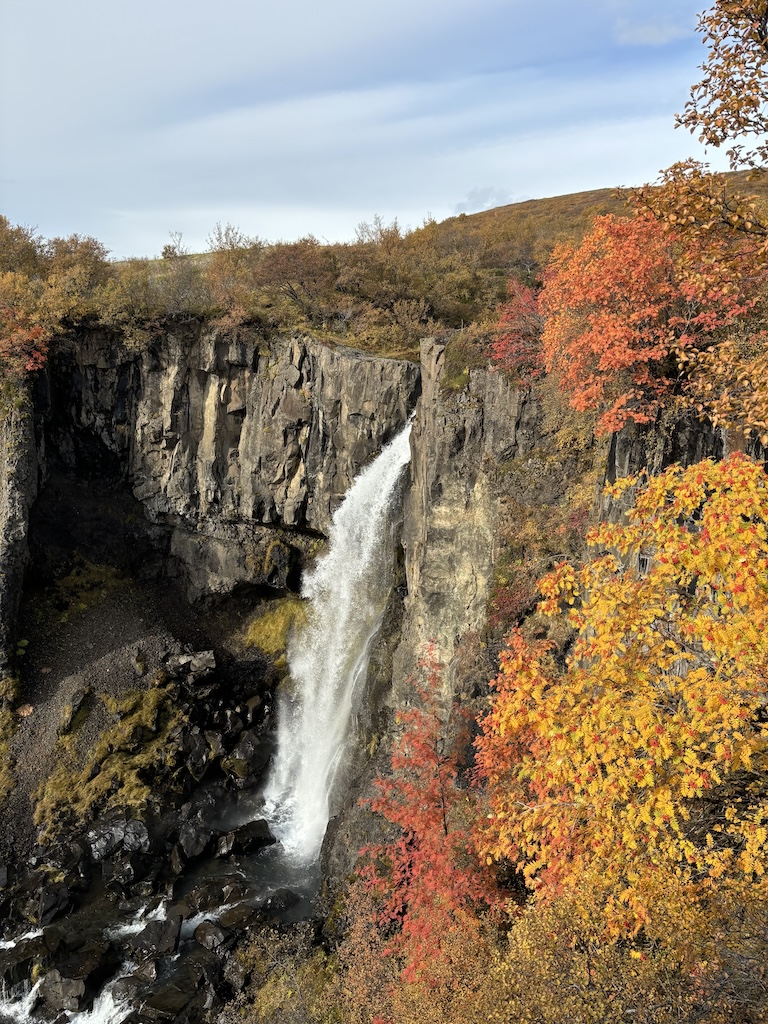 Autumn in Iceland