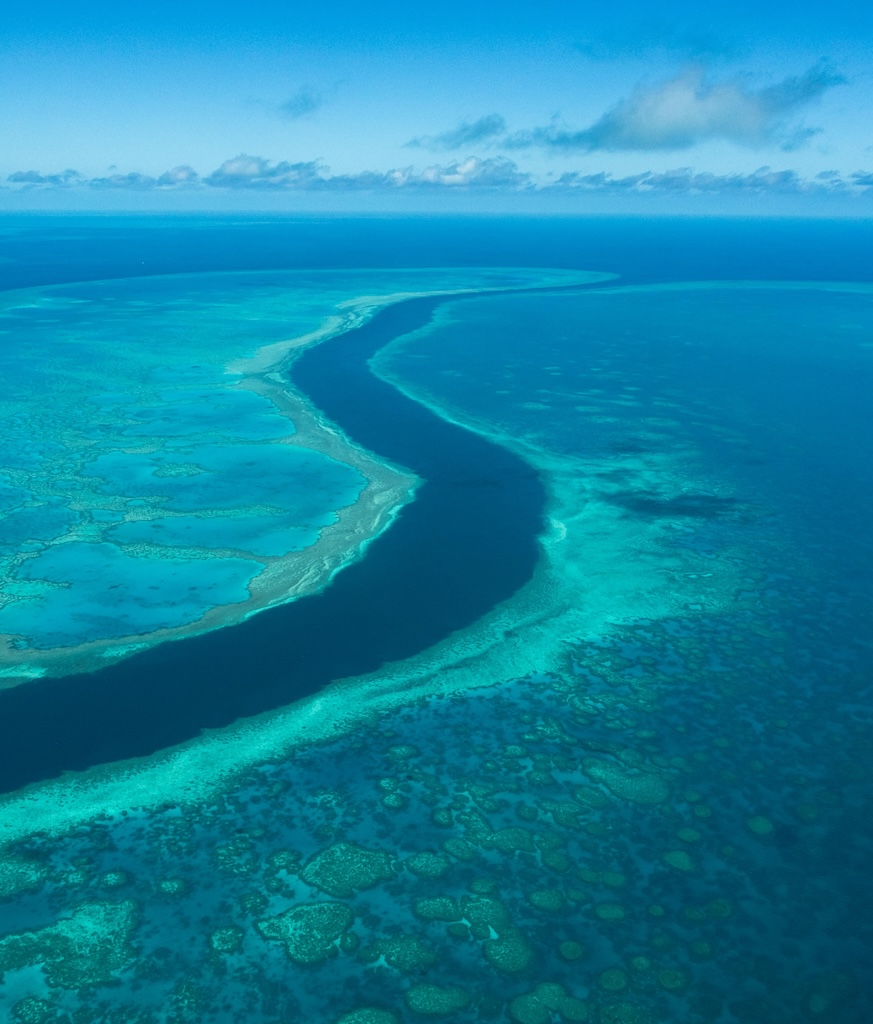 Panoramic shot of The Great Barrier Reed